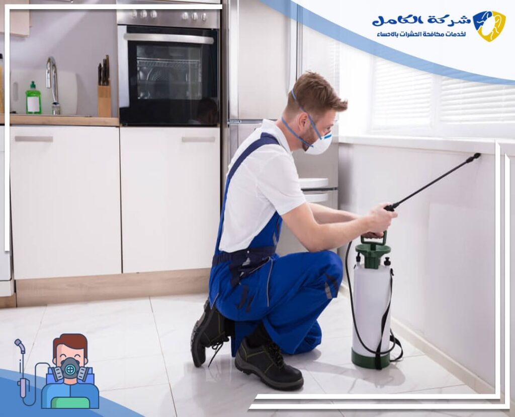 ارخص شركة مكافحة حشرات بالاحساء