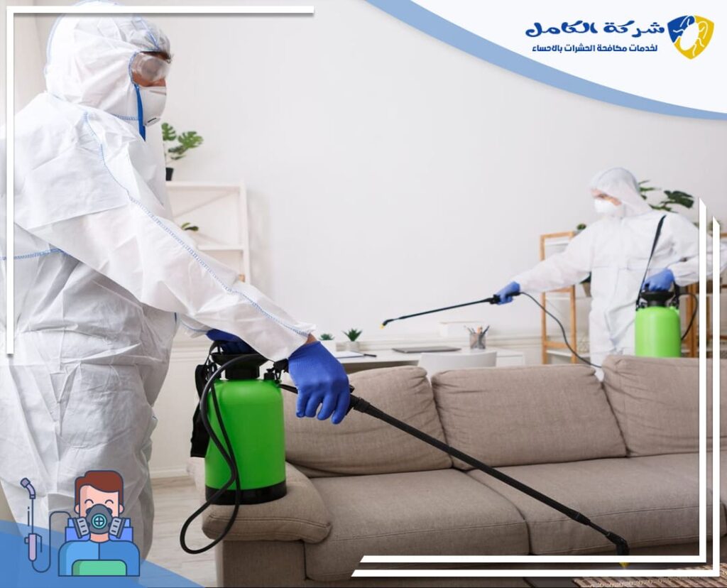 خدمات شركة مكافحة حشرات بالاحساء