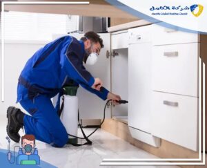 خطوات مكافحة الحشرات بالاحساء